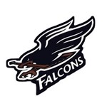 Falcons Falcons