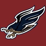 Falcons Falcons