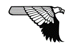 Desert Eagle Desert Eagle