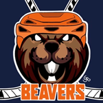 Beavers Beavers