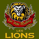 Lions Lions