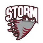 The Storm The Storm